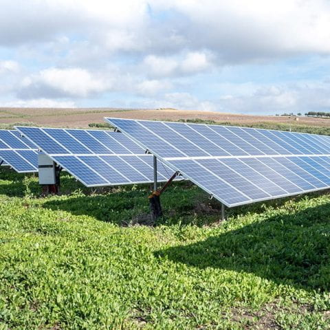 Multiple arrays of solar panels in a green field. Above the solar panels ia blue sky with white clouds.