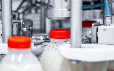 Get to Know the Northeastern Dairy Product Innovation Competition Finalists