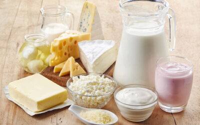 Dairy Innovators Welcome to Apply for Dairy Runway Entrepreneurship Program