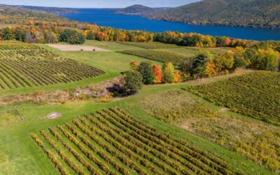 Grow-NY Summit to Award $3 Million to Global Startups Redefining Food, Agriculture and Sustainability