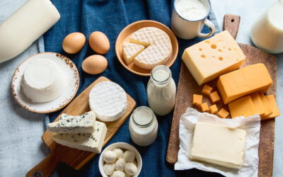 Northeastern Dairy Product Innovation Competition Launches