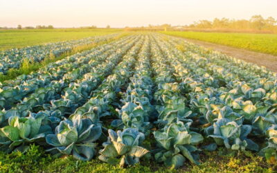 Empire State Development Announces Selected Finalists for Round Six of Annual $3 Million Grow-NY Global Business Competition