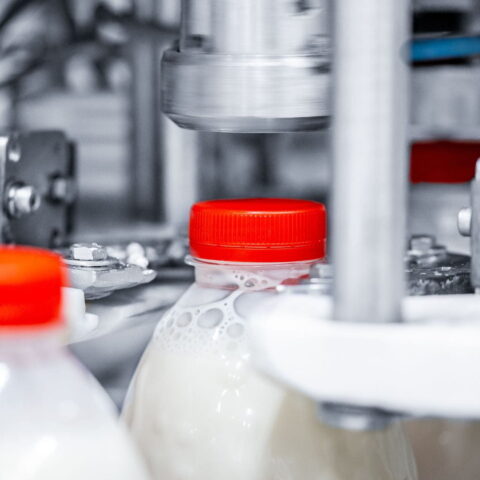 Milk bottles on a production line.