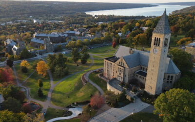 MBA Candidates Reflect on Johnson Summer Startup Accelerator