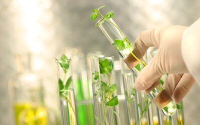 Empire State Development Announces Finalists for Round Five of $3 Million Grow-NY Global Food and Agriculture Business Competition