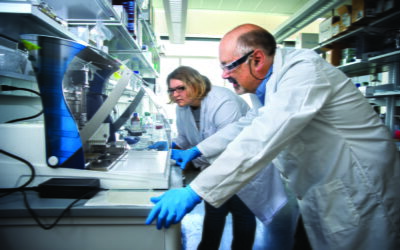 Life Sciences at Cornell