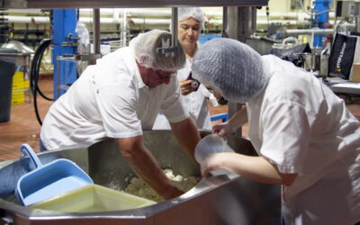 Dairy Runway Welcomes a Fresh Batch of Entrepreneurs
