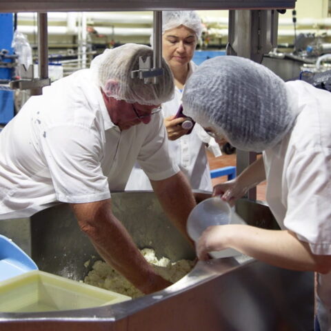 Image of dairy runway team