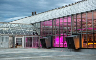 New fellowship to bolster innovation in clean technology