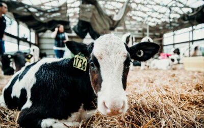 The Ag Economy in the Grow-NY Region: An Overview