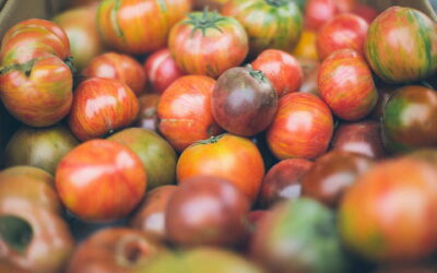 Spotlight: Food & Beverage Investment in New York State